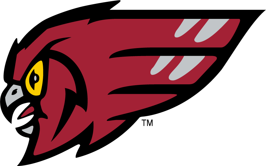 Temple Owls 1996-2011 Secondary Logo iron on transfers for T-shirts